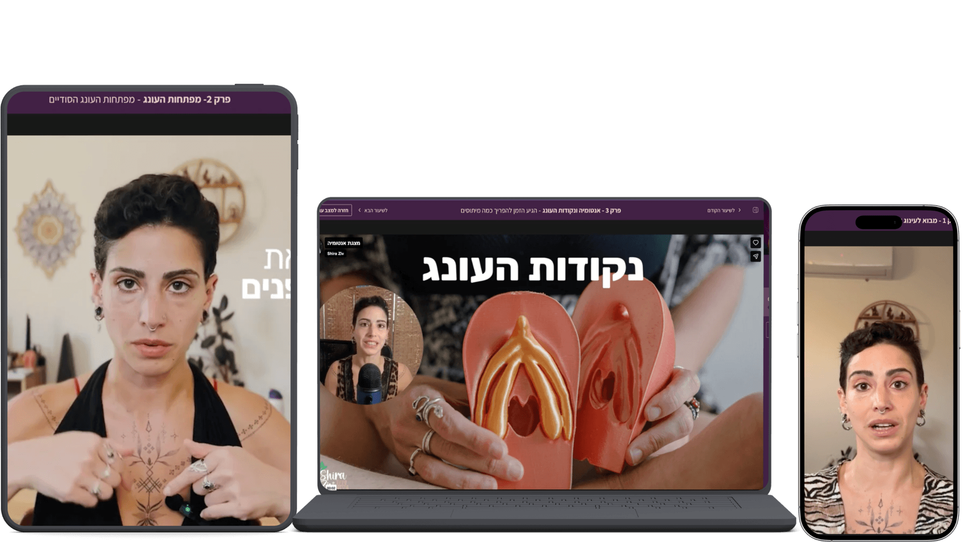 תצוגה נוספת מתוך ההדרכה מפת העונג